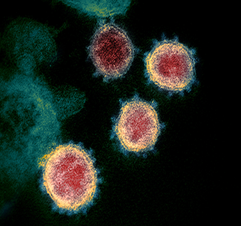 Gardasil